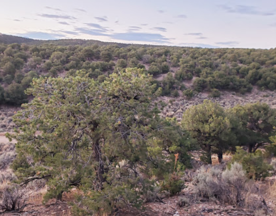 5.21 Acres in Sangre de Cristo Ranches, Costilla County